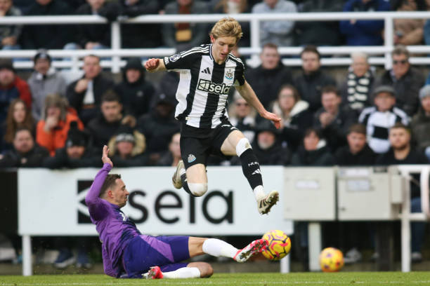 转会市场的 转会市场的