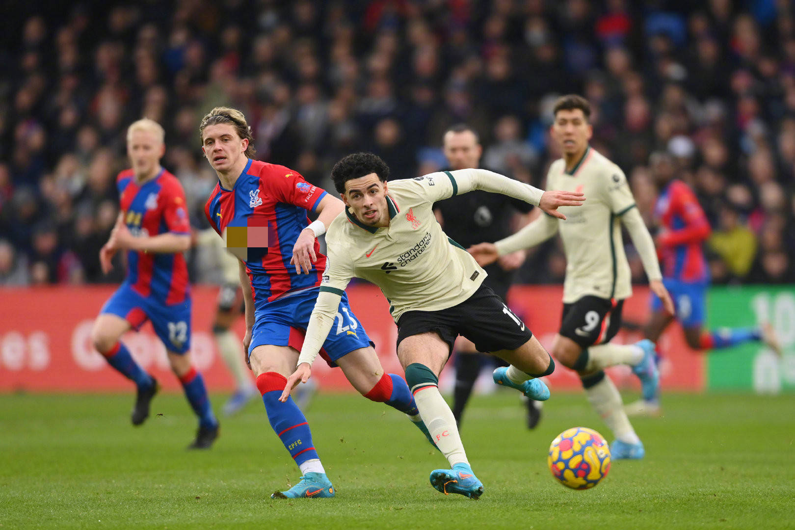 迪的离队 迪的离队