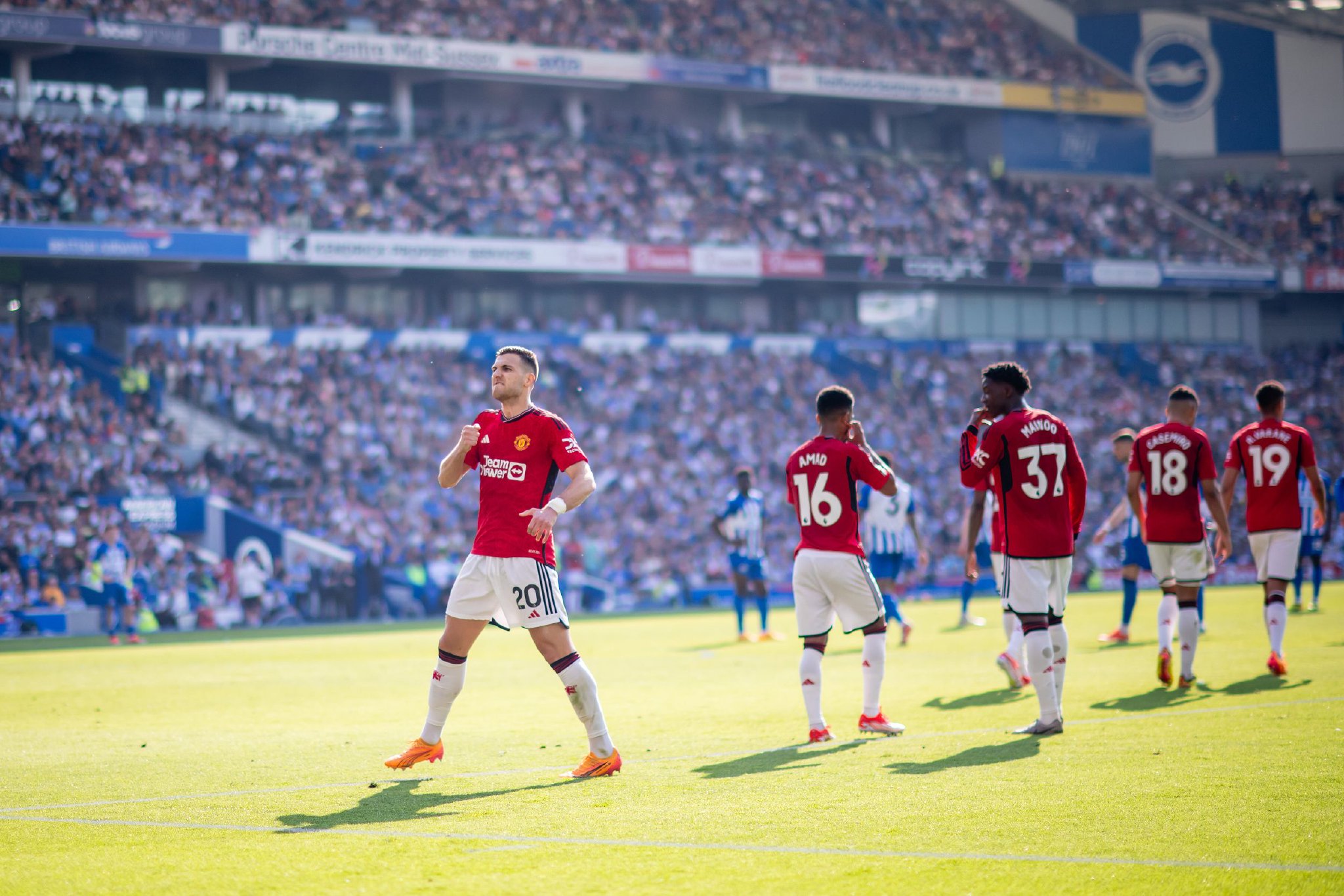 总是被无数 总是被无数